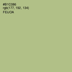 #B1C086 - Feijoa Color Image
