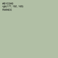 #B1C0A5 - Rainee Color Image
