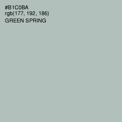 #B1C0BA - Green Spring Color Image