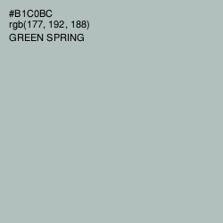 #B1C0BC - Green Spring Color Image