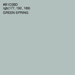 #B1C0BD - Green Spring Color Image