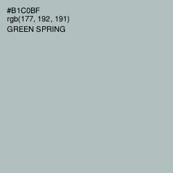 #B1C0BF - Green Spring Color Image