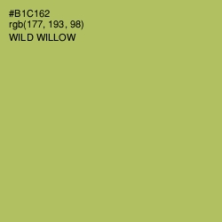 #B1C162 - Wild Willow Color Image