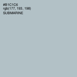 #B1C1C6 - Submarine Color Image