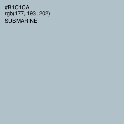 #B1C1CA - Submarine Color Image