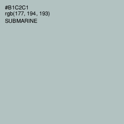 #B1C2C1 - Submarine Color Image