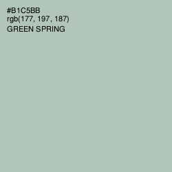 #B1C5BB - Green Spring Color Image