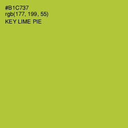 #B1C737 - Key Lime Pie Color Image