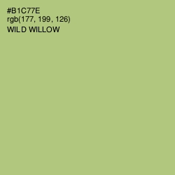 #B1C77E - Wild Willow Color Image