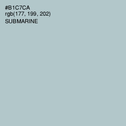 #B1C7CA - Submarine Color Image