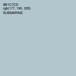 #B1C7CD - Submarine Color Image