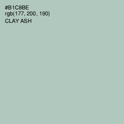 #B1C8BE - Clay Ash Color Image