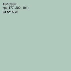 #B1C8BF - Clay Ash Color Image