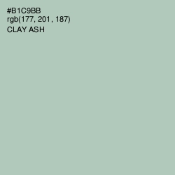 #B1C9BB - Clay Ash Color Image