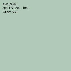 #B1CAB8 - Clay Ash Color Image