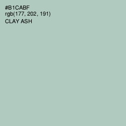 #B1CABF - Clay Ash Color Image