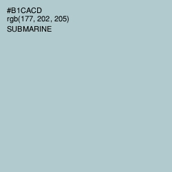 #B1CACD - Submarine Color Image