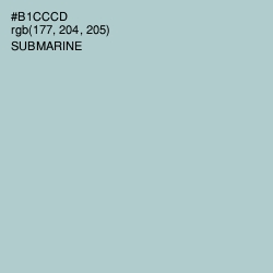 #B1CCCD - Submarine Color Image