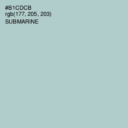 #B1CDCB - Submarine Color Image