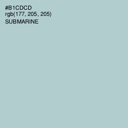 #B1CDCD - Submarine Color Image