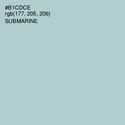 #B1CDCE - Submarine Color Image