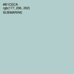 #B1CECA - Submarine Color Image
