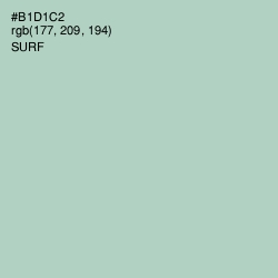 #B1D1C2 - Surf Color Image