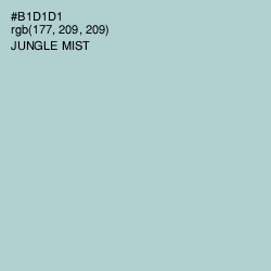 #B1D1D1 - Jungle Mist Color Image