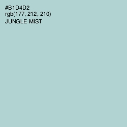 #B1D4D2 - Jungle Mist Color Image