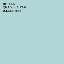 #B1D6D6 - Jungle Mist Color Image