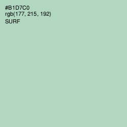 #B1D7C0 - Surf Color Image