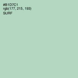 #B1D7C1 - Surf Color Image