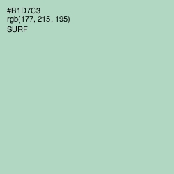 #B1D7C3 - Surf Color Image