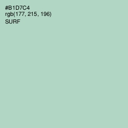 #B1D7C4 - Surf Color Image