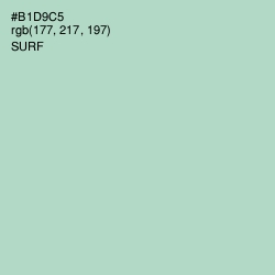 #B1D9C5 - Surf Color Image