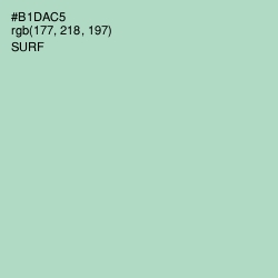 #B1DAC5 - Surf Color Image