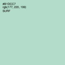#B1DCC7 - Surf Color Image