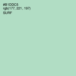 #B1DDC5 - Surf Color Image