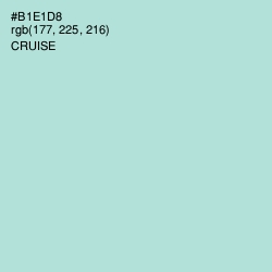 #B1E1D8 - Cruise Color Image