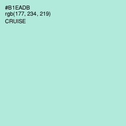 #B1EADB - Cruise Color Image