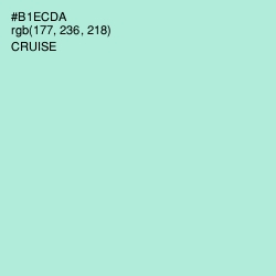 #B1ECDA - Cruise Color Image