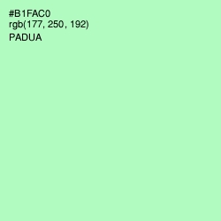 #B1FAC0 - Padua Color Image