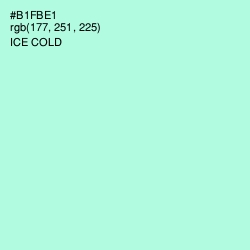 #B1FBE1 - Ice Cold Color Image