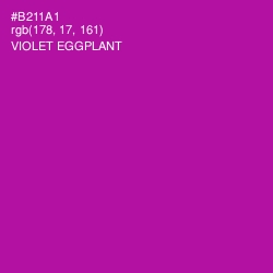 #B211A1 - Violet Eggplant Color Image