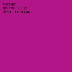 #B21587 - Violet Eggplant Color Image