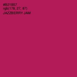 #B21B57 - Jazzberry Jam Color Image