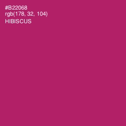 #B22068 - Hibiscus Color Image