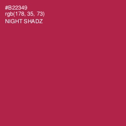 #B22349 - Night Shadz Color Image