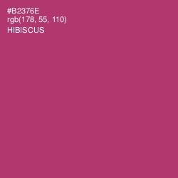 #B2376E - Hibiscus Color Image