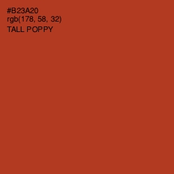 #B23A20 - Tall Poppy Color Image